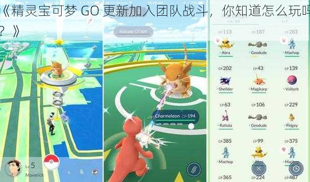 《精灵宝可梦 GO 更新加入团队战斗,你知道怎么玩吗?》